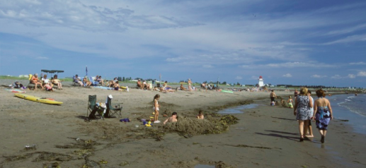 Plage Bonaventure