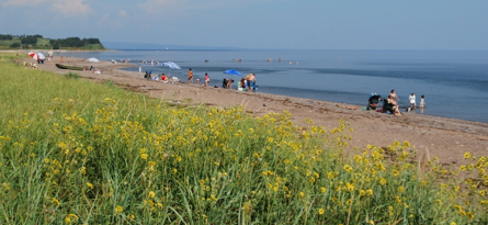 Plage Carleton